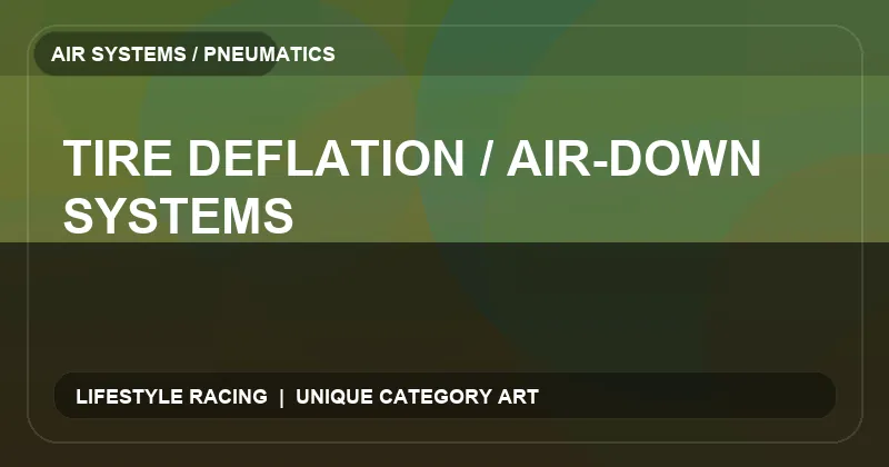 Tire Deflation / Air-Down Systems
